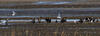 _A010105rotcr3.jpg